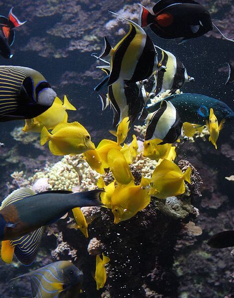 Voyage sur La Rochelle