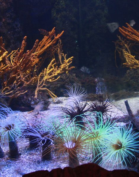 Voyage sur La Rochelle